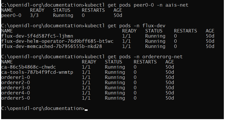 _images/verify-deploy-network.png